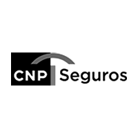 CNP SEGUROS